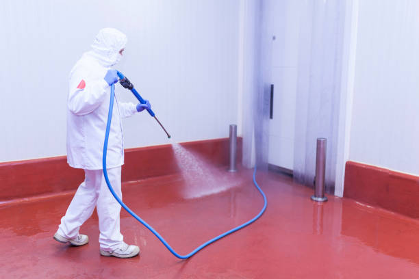 Best Spring Cleaning  in Independence, MN